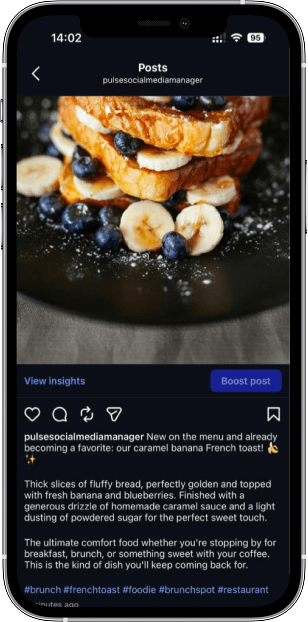 Pulse posted screen showing a published post preview